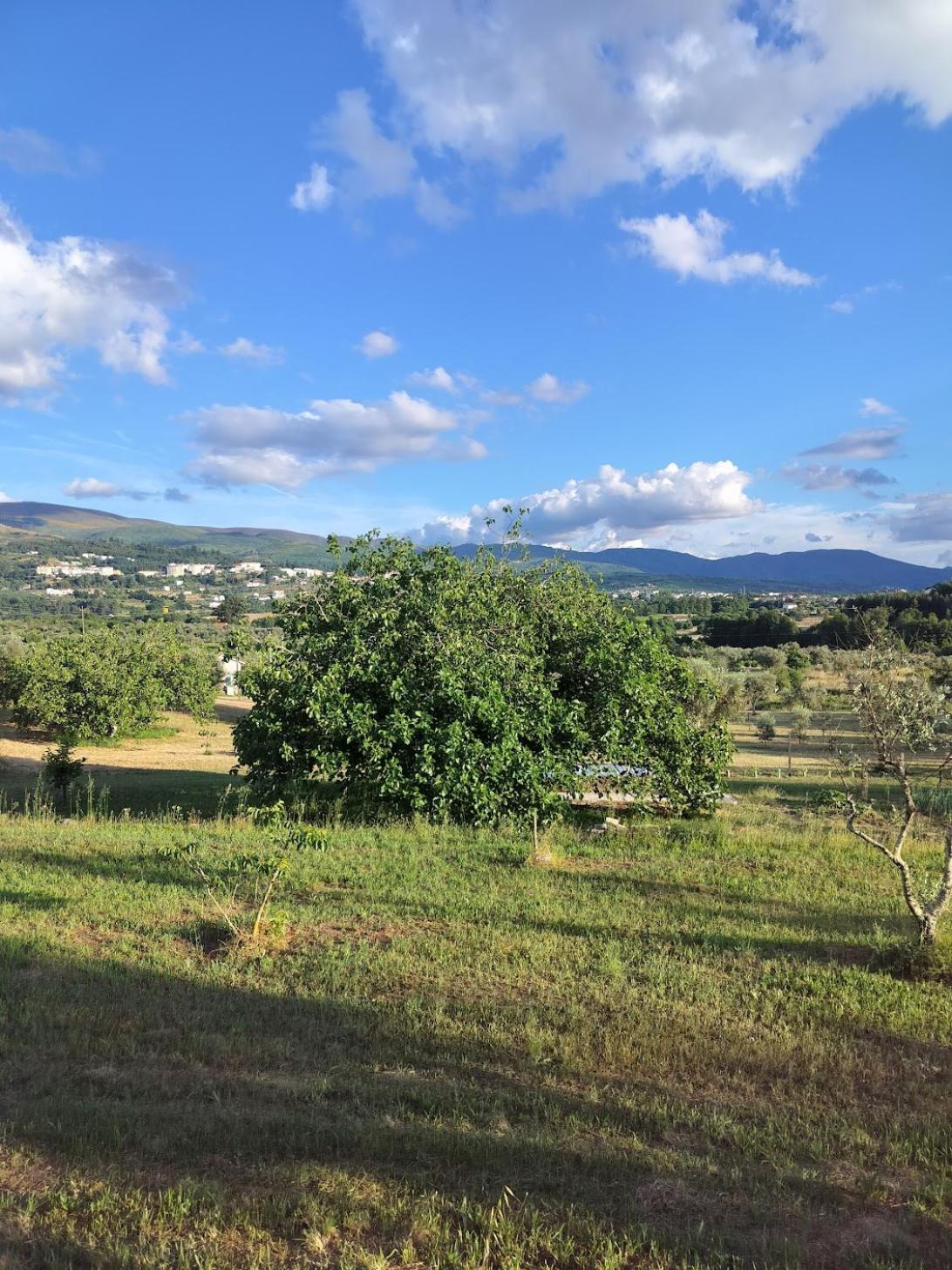 Villa Arpuro à Gouveia  Extérieur photo